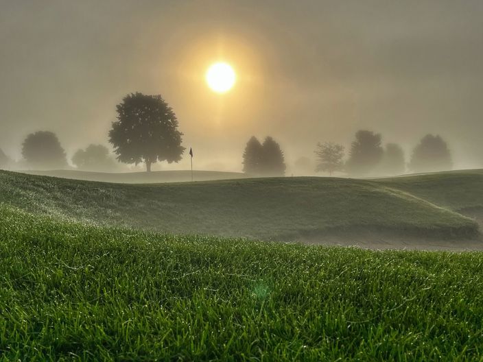 Wild Marsh Golf Club